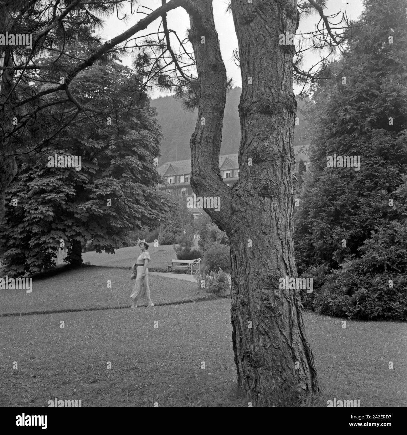 Eine Frau spaziert durch den von Kurpark Wildbad im Schwarzwald, Deutschland 1930er Jahre. Une femme se promenant dans les jardins du spa de Wildbad en Forêt Noire, Allemagne 1930. Banque D'Images
