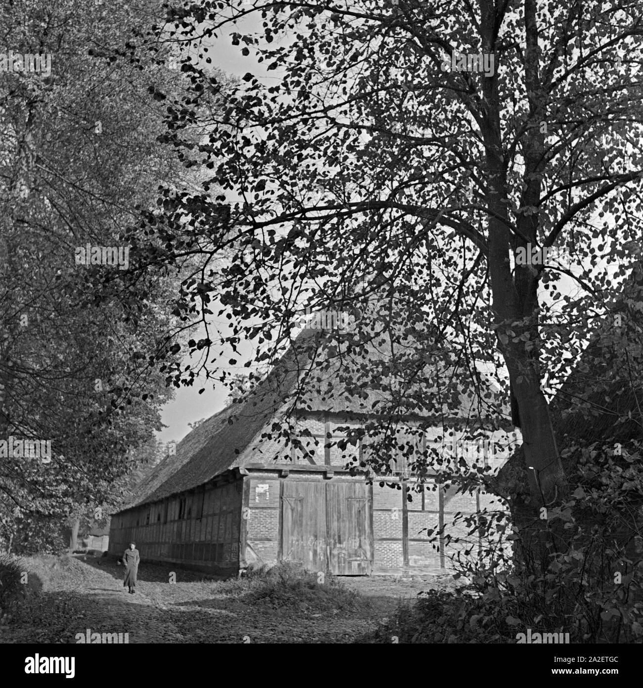 Eine Frau bei einem herbstlichen Promenade une einem alten Bauernhof, Deutschland 1930 er Jahre. Une femme se promenant près d'une ancienne ferme, l'Allemagne de l'automne 1930. Banque D'Images