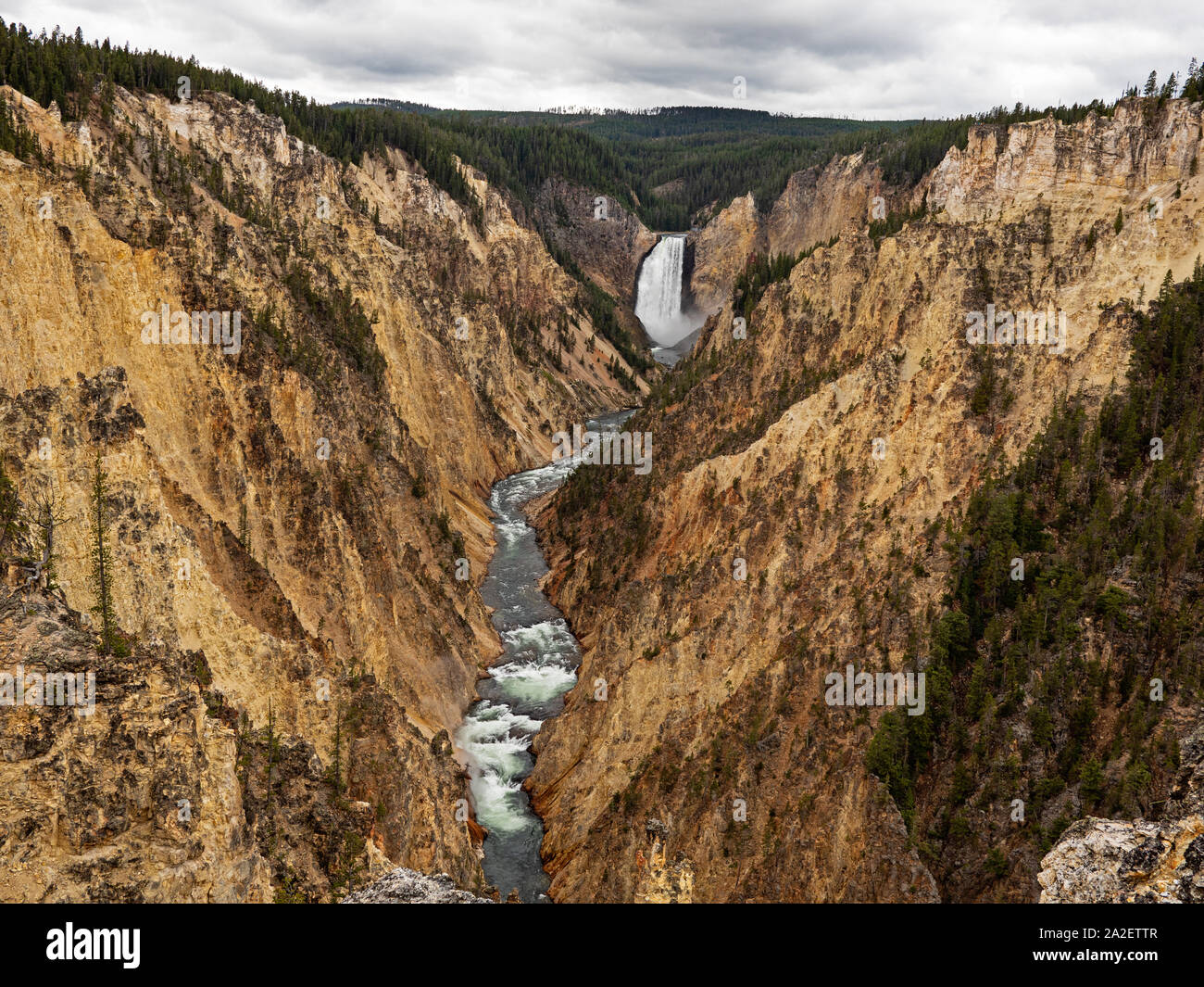 Lower Falls Yellowstone de Artist Point, Wyoming Banque D'Images