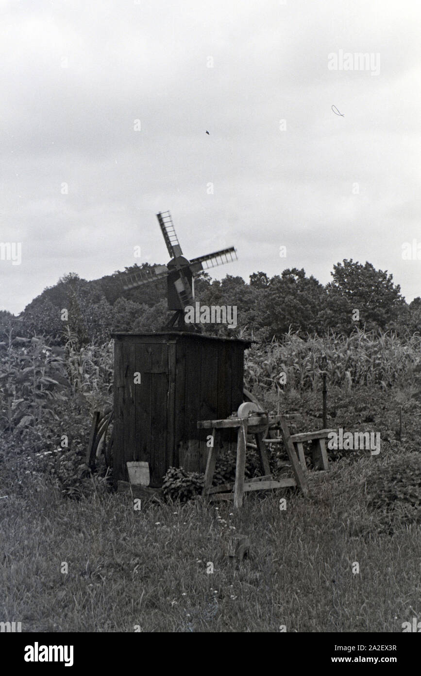 Cabane de jardin miniature avec moulin sur le toit au bord de champ Banque D'Images