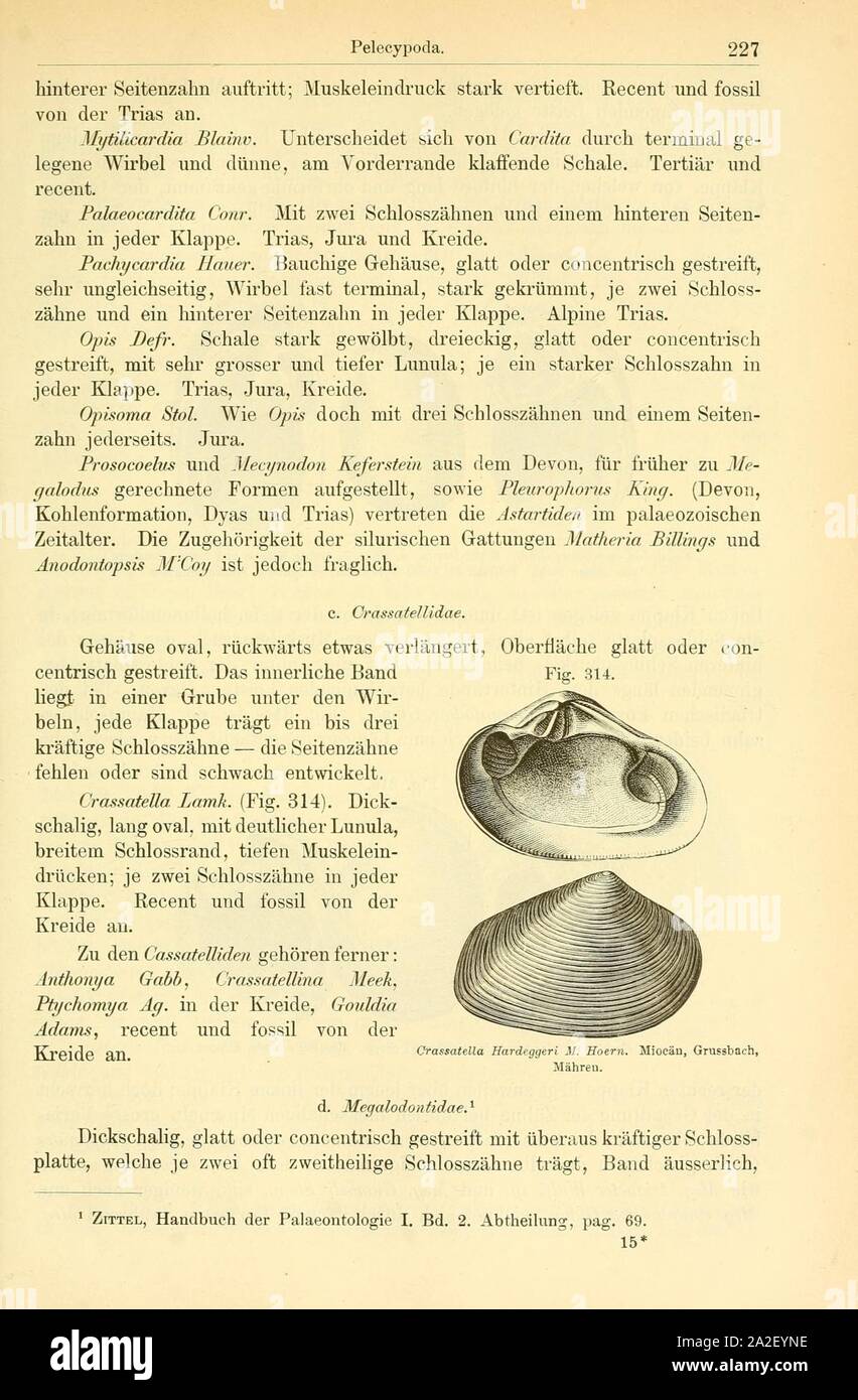 Elemente der paleontologie (page 227, fig. 314) Banque D'Images