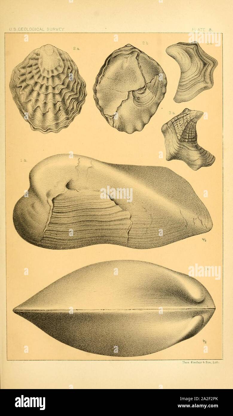 Onzième rapport annuel de la United States Geological Survey et géographique des territoires Banque D'Images