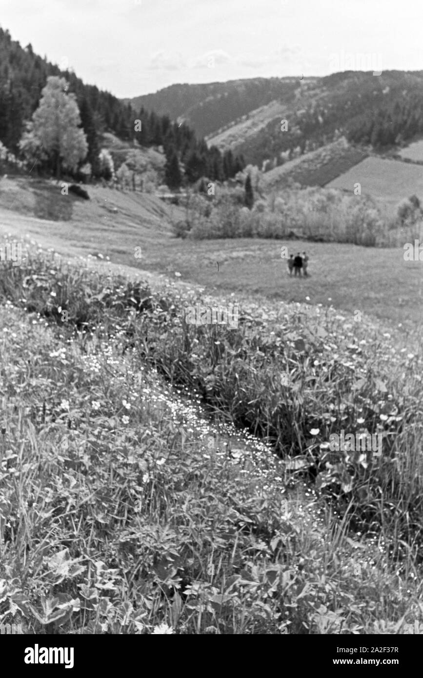 Wanderer Feld auf einem im Donautal bei Wildenstein, Deutschland 1930 er Jahre. Les randonneurs debout sur un champ dans le Danube Dale, Allemagne 1930. Banque D'Images