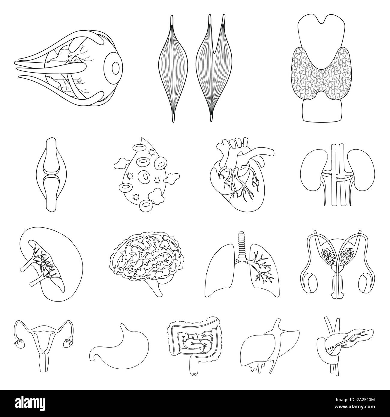 Vector illustration d'anatomie et de symbole d'organes. Ensemble de l'anatomie et symbole de l'action médicale pour le web. Illustration de Vecteur