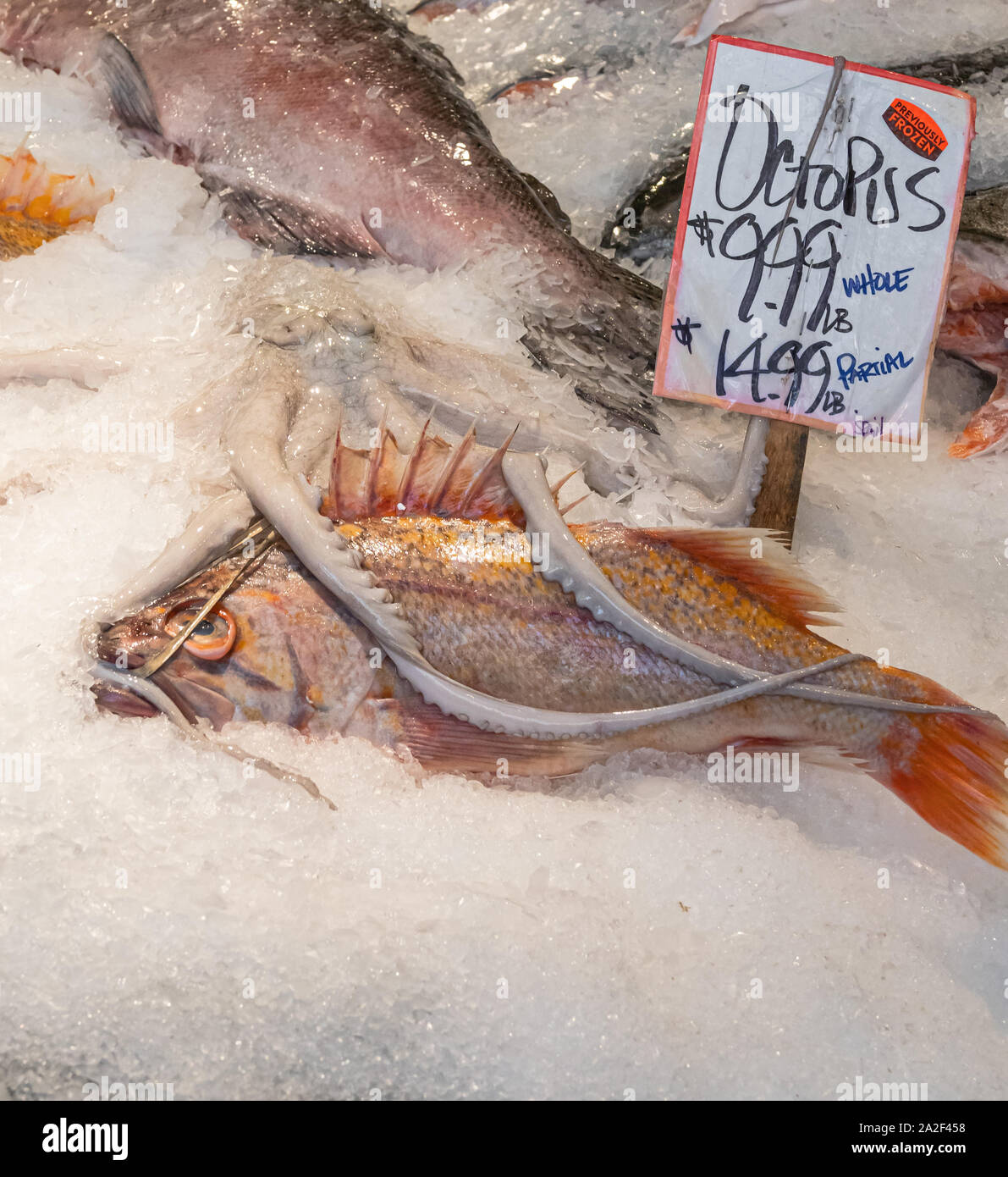 Détail de l'octopus entiers et snapper sébaste du Pacifique sur la glace à un marché de l'alimentation publique à Seattle, Washington. Banque D'Images