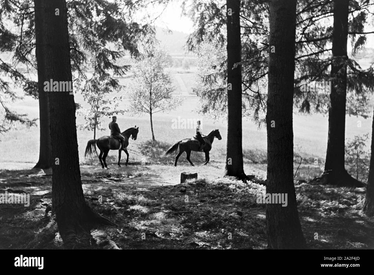 Un Reitausflug Reiter im Wald bei Freudenstadt, Deutschland 1930 er Jahre. Cavaliers sur un voyage à cheval dans les bois près de Freudenstadt, Allemagne 1930. Banque D'Images