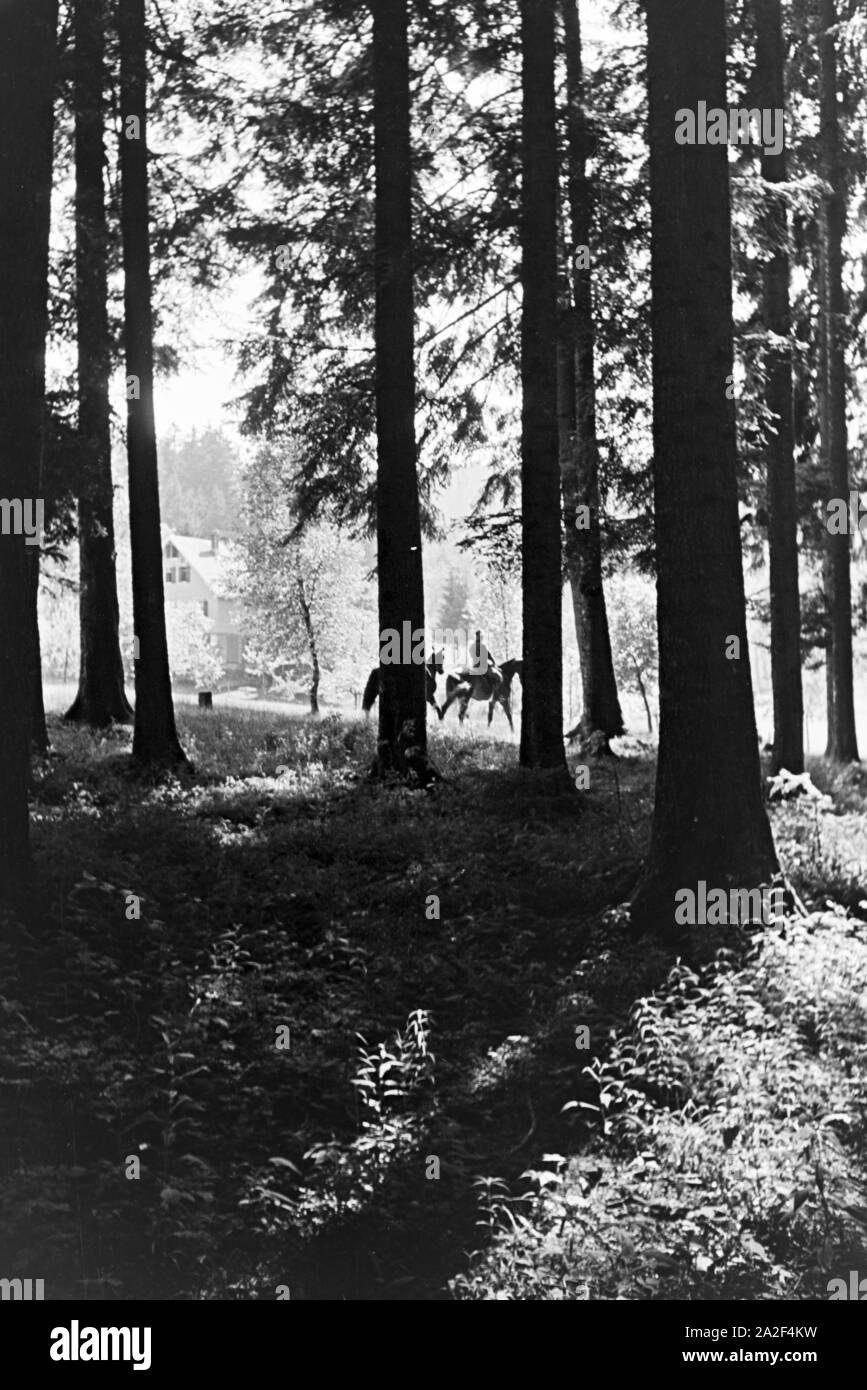 Un Reitausflug Reiter im Wald bei Freudenstadt, Deutschland 1930 er Jahre. Cavaliers sur un voyage à cheval dans les bois près de Freudenstadt, Allemagne 1930. Banque D'Images