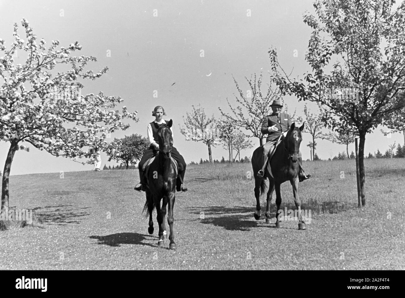 Un Reitausflug Reiter im Wald bei Freudenstadt, Deutschland 1930 er Jahre. Cavaliers sur un voyage à cheval dans les bois près de Freudenstadt, Allemagne 1930. Banque D'Images