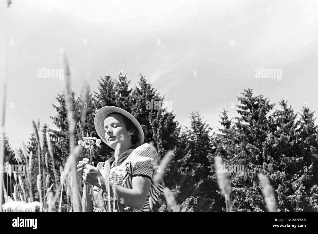 Porträt einer jungen Frau auf einer Blumenwiese, Freudenstadt, Deutschland 1930 er Jahre. Portrait d'une jeune femme sur un champ de fleur, Freudenstadt, Allemagne 1930. Banque D'Images