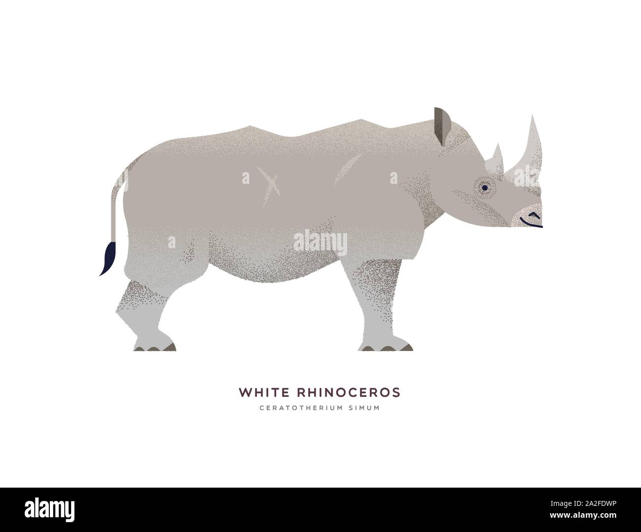 White Rhino illustration sur fond isolé, ou des animaux de zoo safari africain concept. Rhinocéros d'espèces de faune et de conception d'étiquettes de nom. Illustration de Vecteur