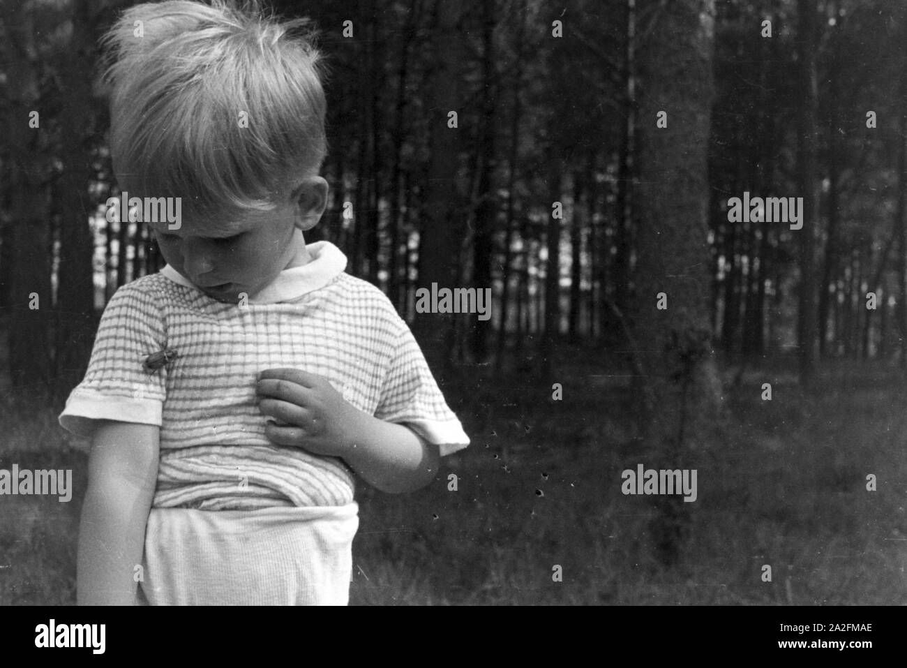 Kleiner Junge beobachtet einen Maikäfer, 1930er Jahre Deutschland. Petit garçon regardant un coléoptère, Allemagne Mai 1930. Banque D'Images