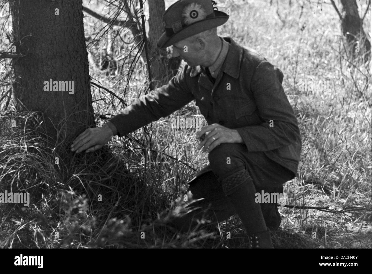 Förster im Wald, Deutschland 1930 er Jahre. Le garde forestier en bois, Allemagne 1930. Banque D'Images