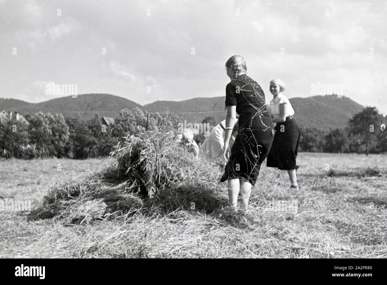 Schüler des Schülerheims Kolonial Harzburg bei der Arbeit, Deutsches Reich 1937. Les étudiants de l'école résidentielle coloniale Harzburg au travail ; Allemagne 1937. Banque D'Images