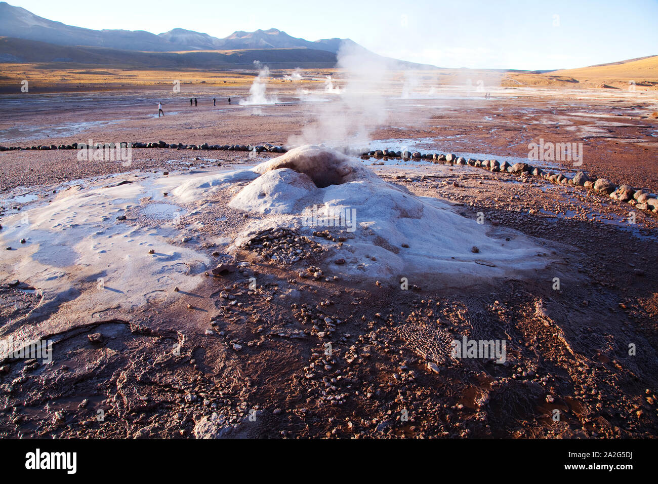 El Tatio Geysers, Désert d'Atacama, Chili Banque D'Images