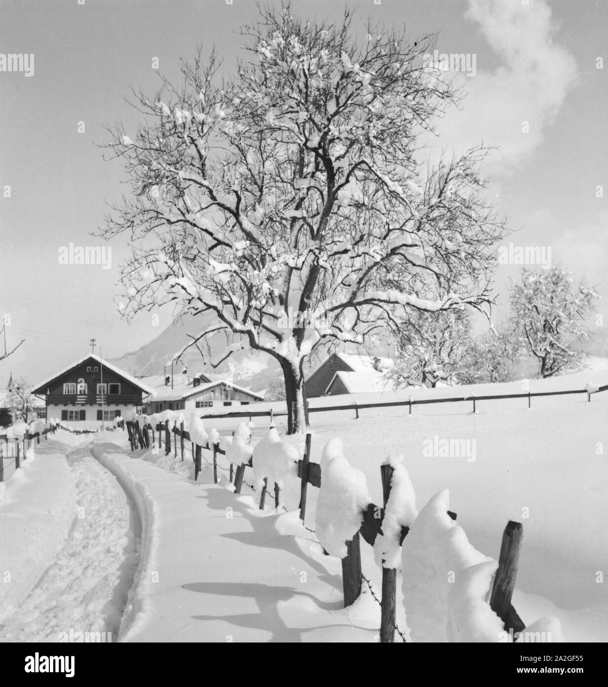 Winterurlaub im im Arlberger Terre, …sterreich er Jahre 1930. L'Arlberg vacances d'hiver à l'Autriche, 1930. Banque D'Images