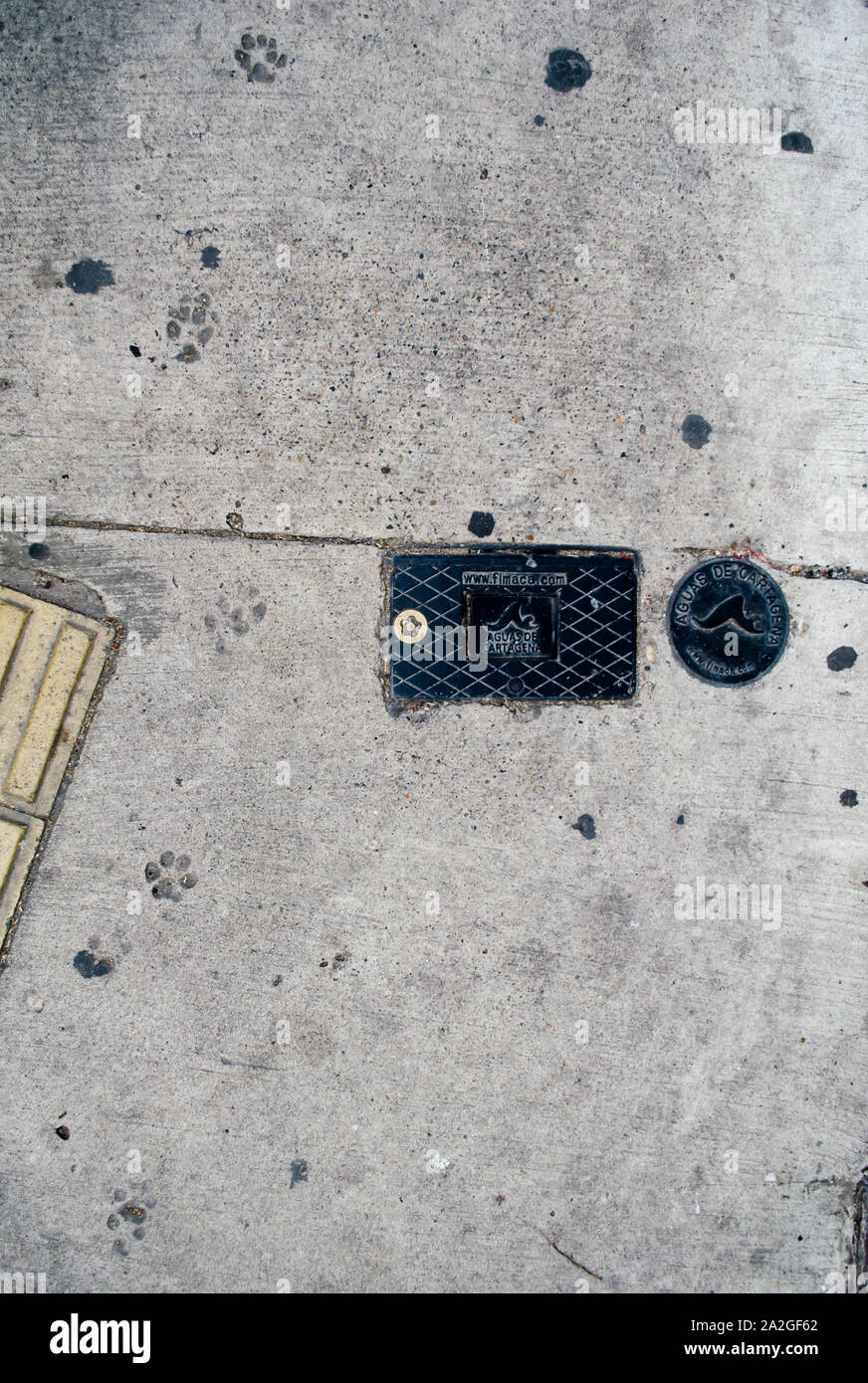 De petites empreintes sur le béton à carthagène Banque D'Images
