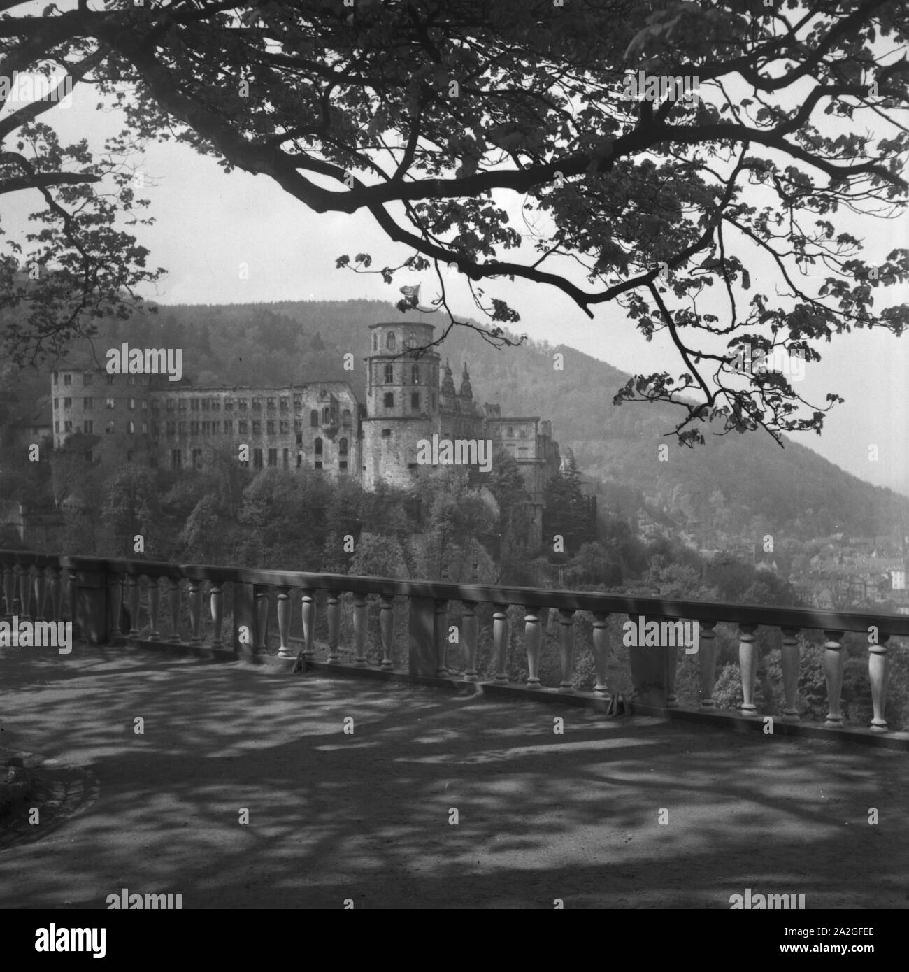 Das Heidelberger Schloss, Deutschland 1930 er Jahre. Château d'Heidelberg, Allemagne 1930. Banque D'Images