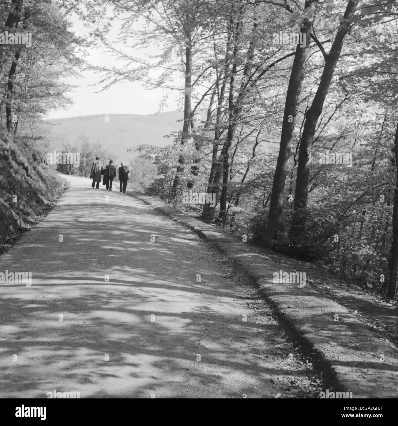 Menschen gehen in einem Wald, Deutschland 1930 er Jahre. Les gens se promener dans une forêt, Allemagne 1930. Banque D'Images