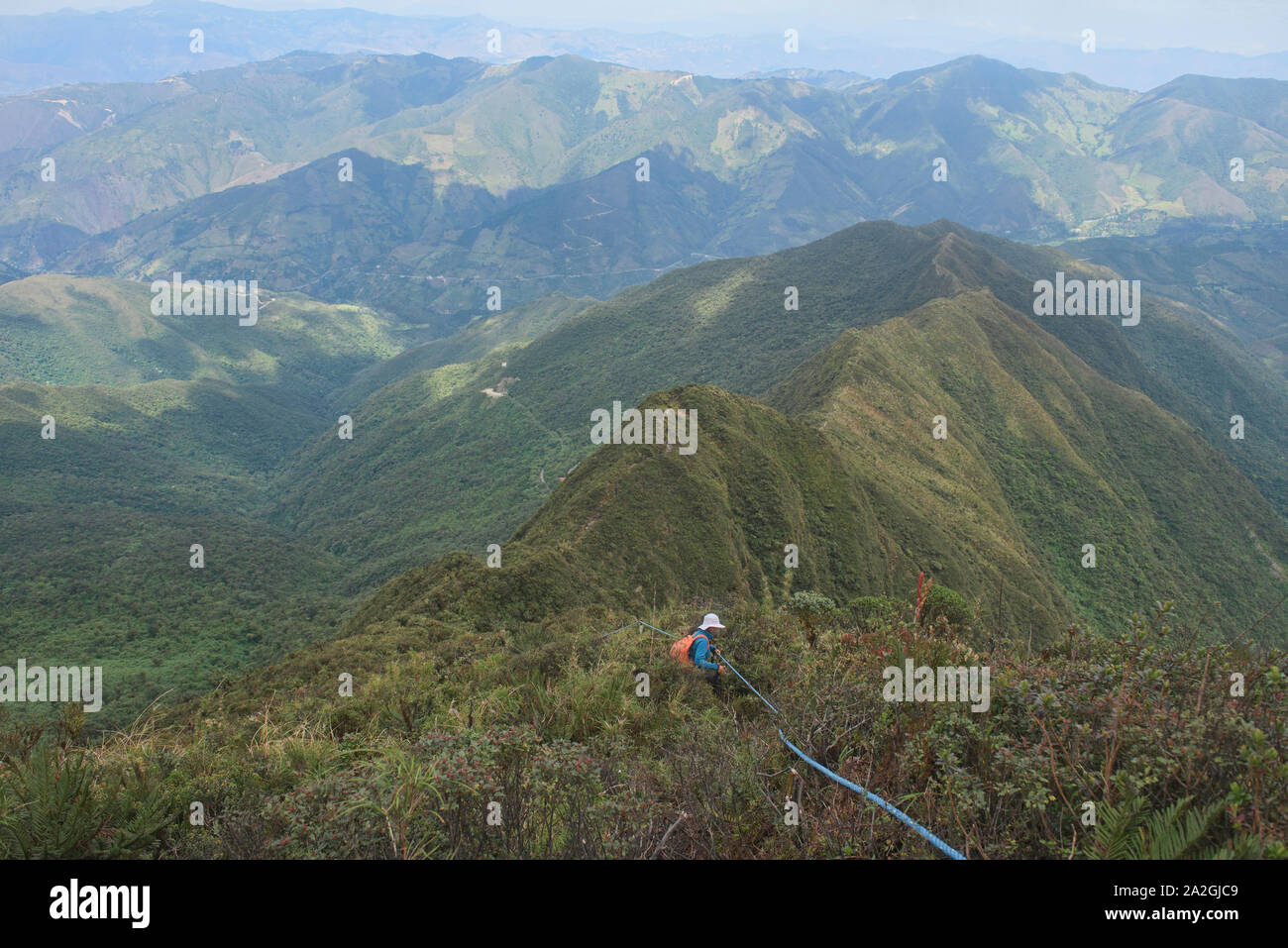 En ordre décroissant la crête sur l'étonnant sentier Mirador, Podocarpus National Park, Loja, Equateur Banque D'Images