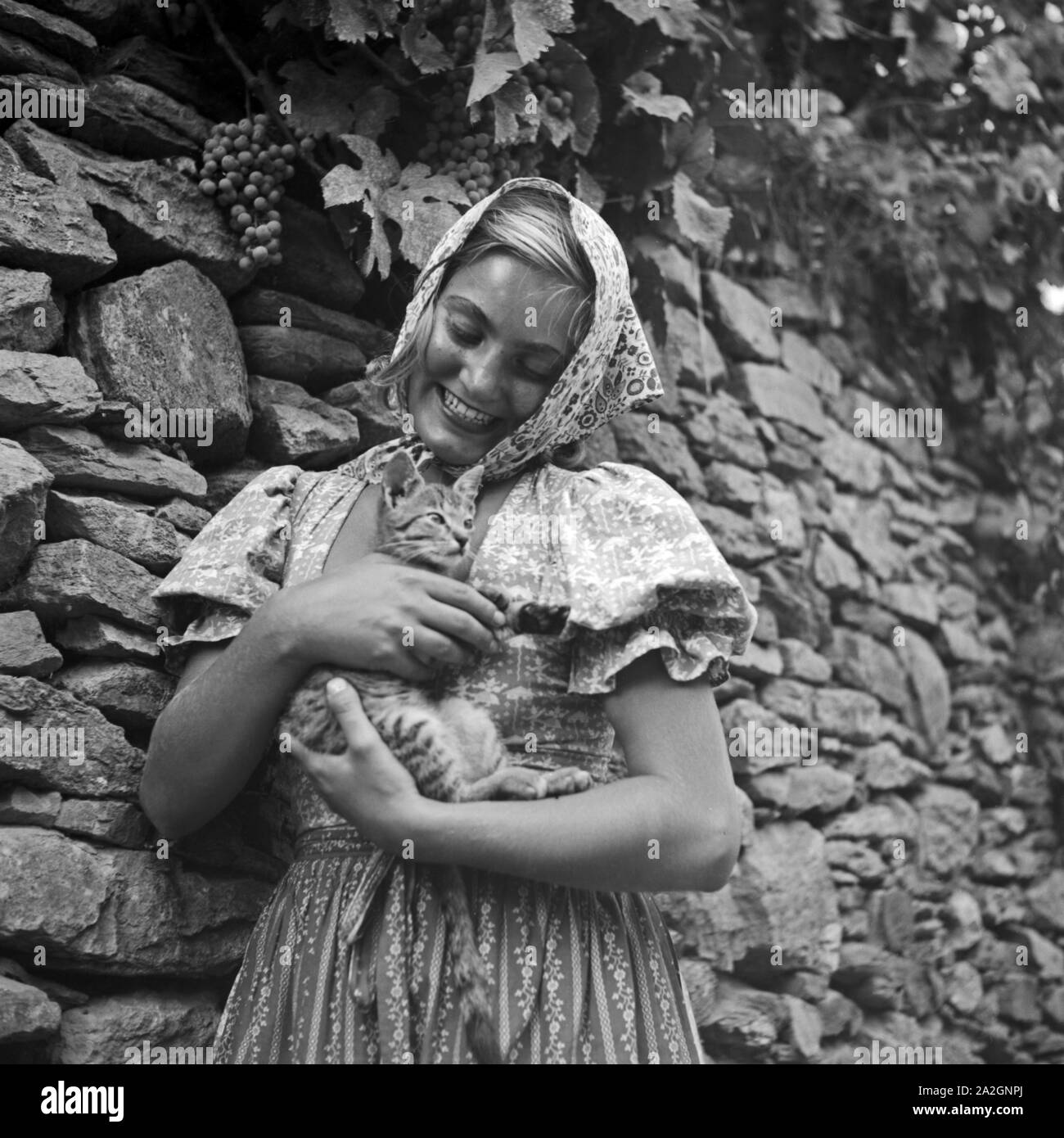 Eine junge Frau spielt in einem Weinberg mit einer Katze, Österreich 1930er Jahre. Une jeune femme jouant avec un chat dans un vignoble, Autriche 1930. Banque D'Images