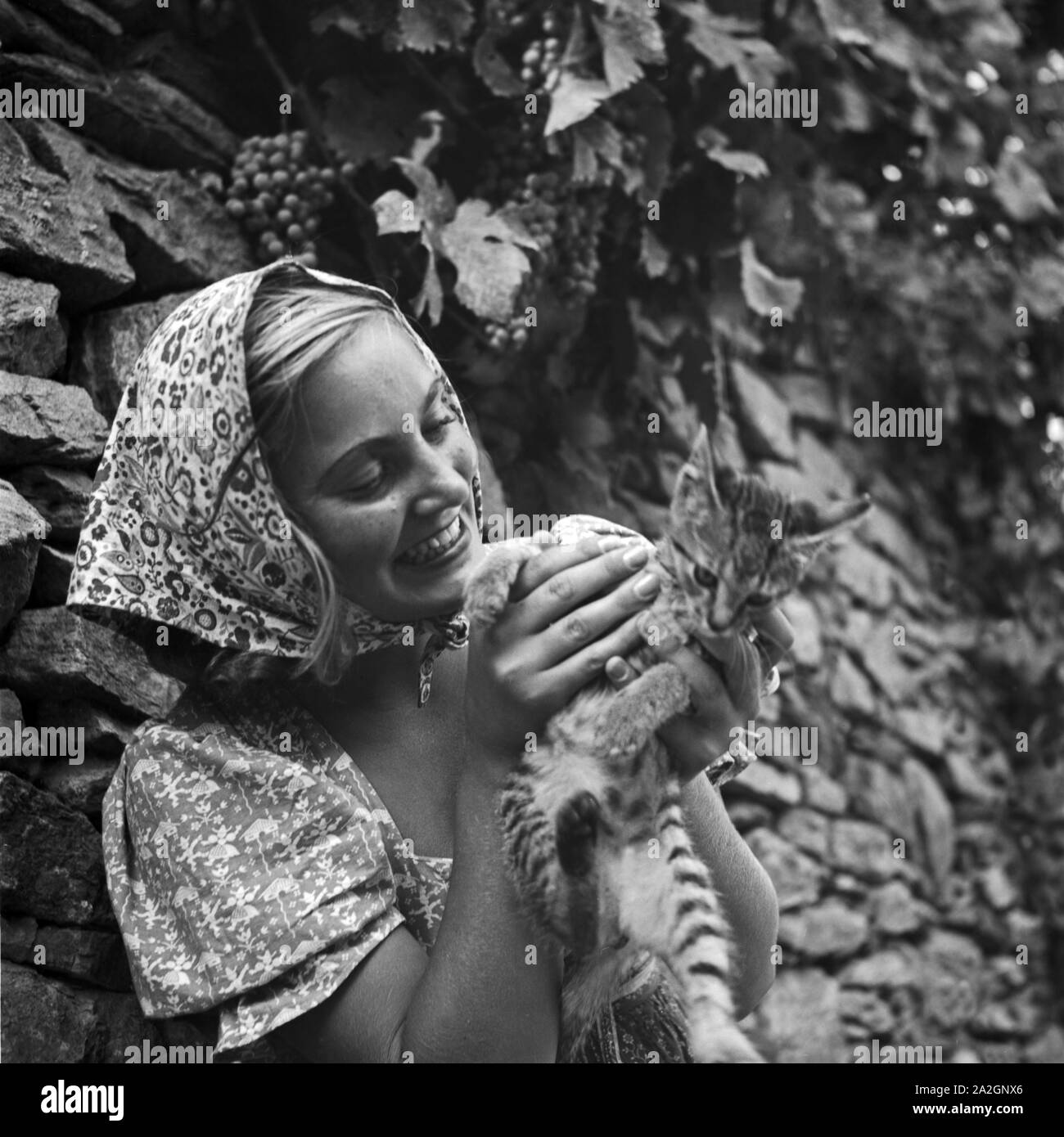 Eine junge Frau spielt in einem Weinberg mit einer Katze, Österreich 1930er Jahre. Une jeune femme jouant avec un chat dans un vignoble, Autriche 1930. Banque D'Images