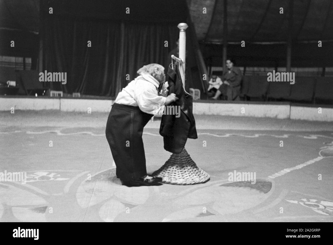 Ein Affe in der Manege einem Karlsbader Zirkus, Deutsches Reich 1930er Jahre. Un singe dans le cirque dans un cirque à Karlsbad, Allemagne 1930. Banque D'Images