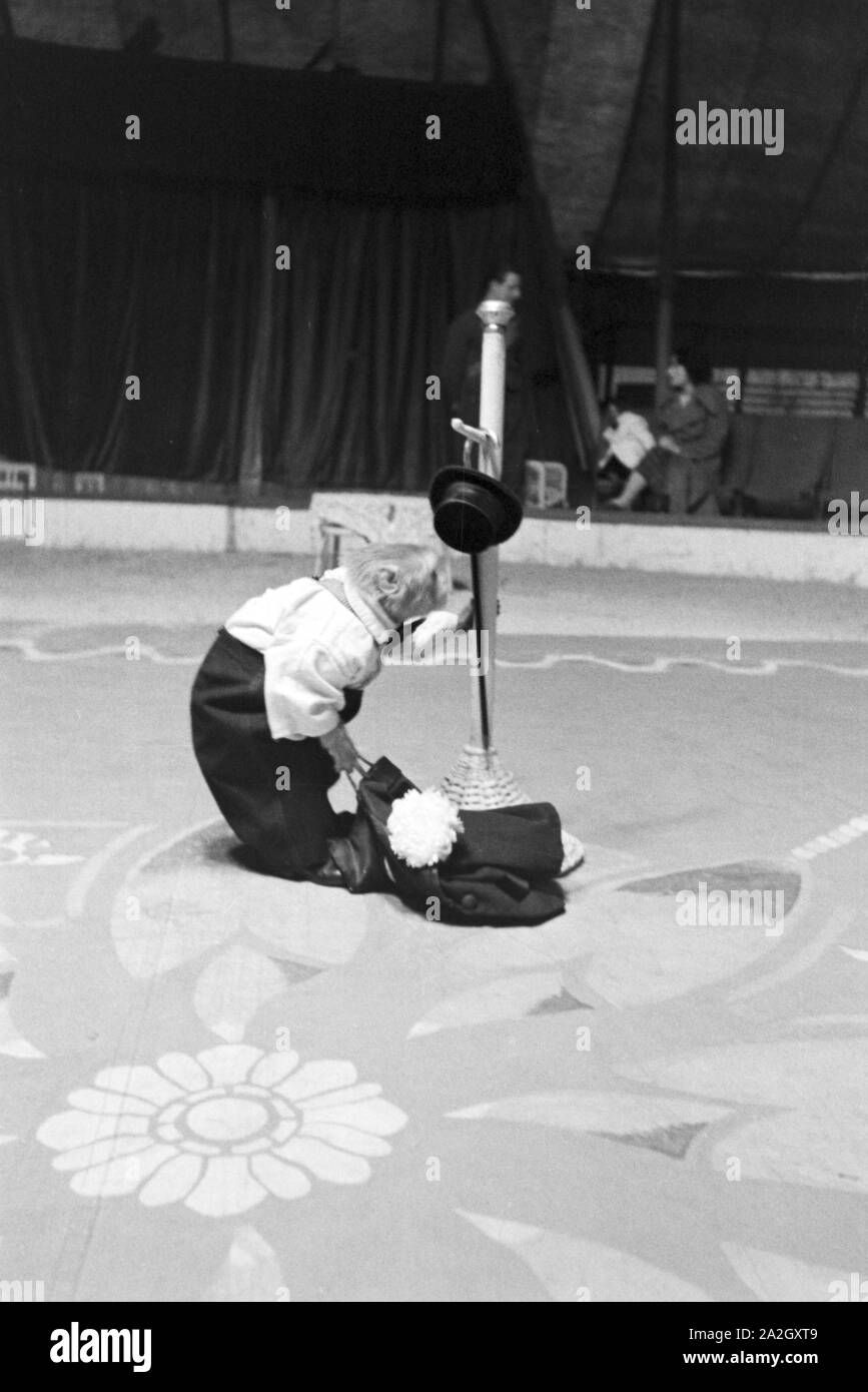 Ein Affe in der Manege einem Karlsbader Zirkus, Deutsches Reich 1930er Jahre. Un singe dans le cirque dans un cirque à Karlsbad, Allemagne 1930. Banque D'Images