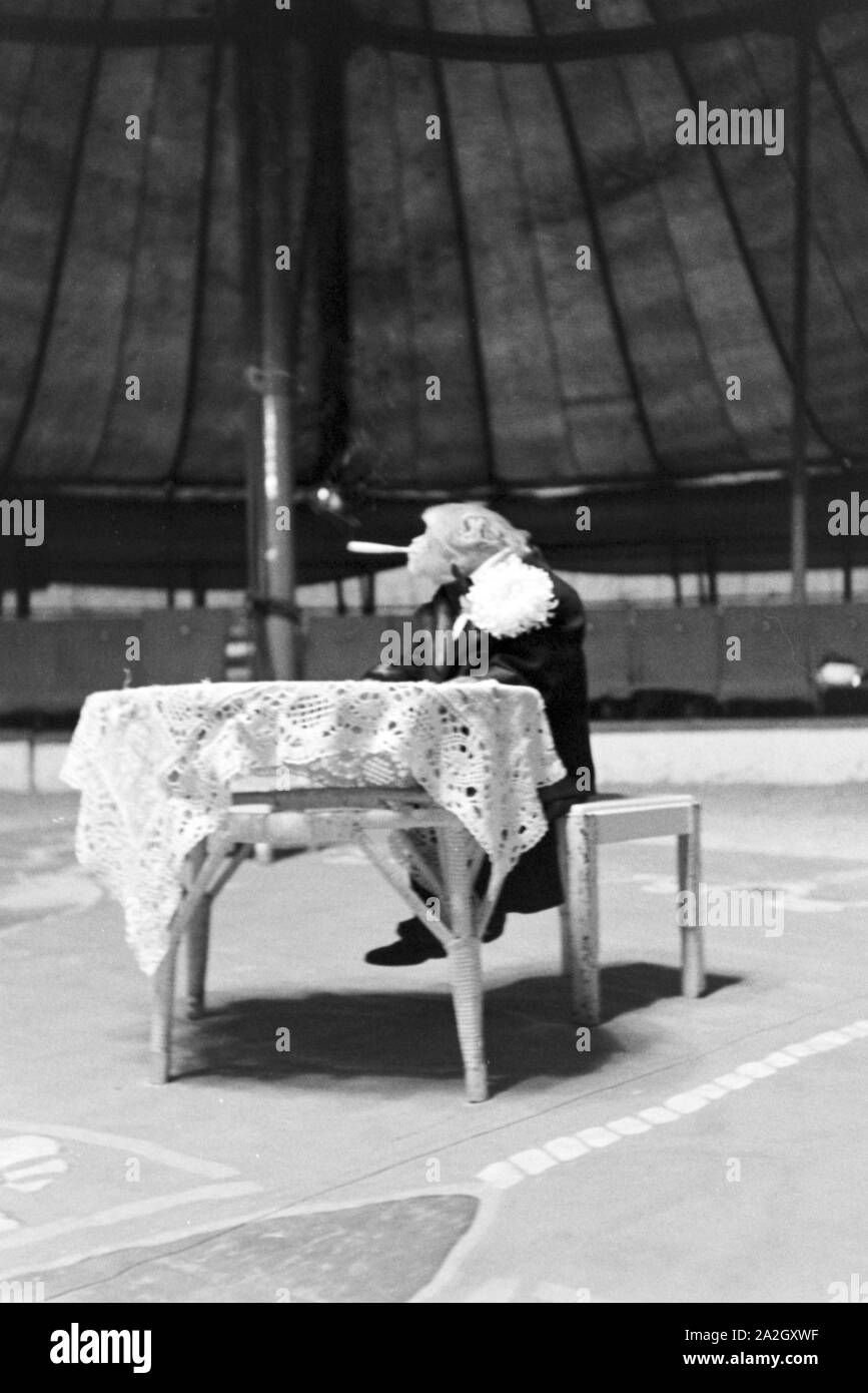 Ein Affe in der Manege einem Karlsbader Zirkus, Deutsches Reich 1930er Jahre. Un singe dans le cirque dans un cirque à Karlsbad, Allemagne 1930. Banque D'Images