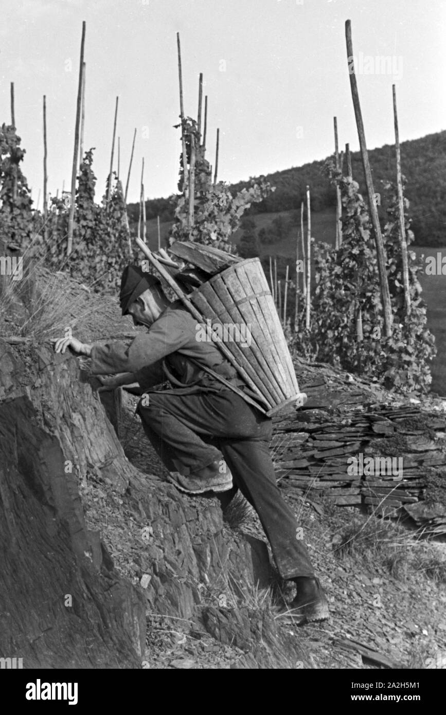 Moselbauern auf dem Weg zur Arbeit in den Weinberg, Deutschland 1930 er Jahre. Les vignerons sur leur lieu de travail, de l'Allemagne des années 1930. Banque D'Images