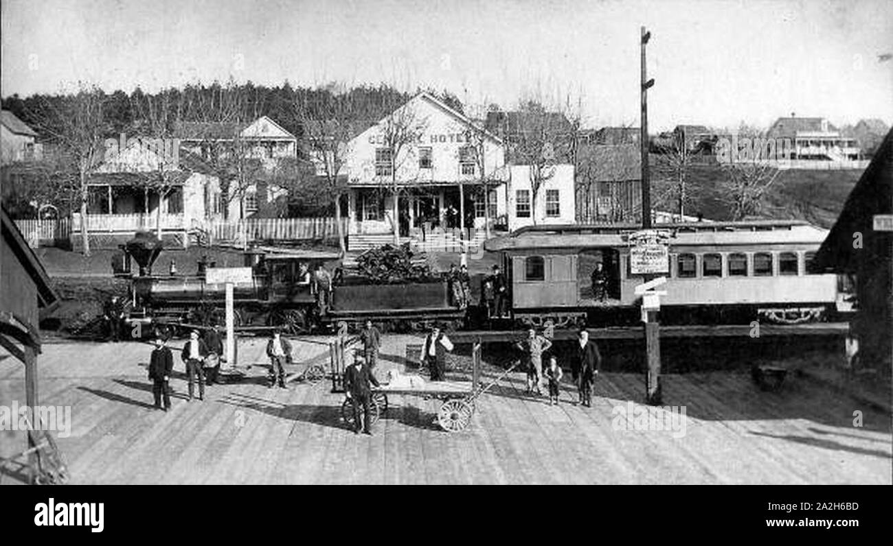 Le moteur n° 3 de Nevada County Narrow Gauge Railroad avec une voiture de tourisme au Colfax railroad station en 1878. Banque D'Images