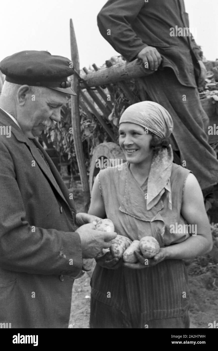 Eine im Regenanlage Kartoffelacker landwirtschaftlichen Einsatz bei einem 1930er Jahre, Deutschland. Un système de gicleurs dans son usage agricole à un champ de pommes de terre, de l'Allemagne des années 1930. Banque D'Images