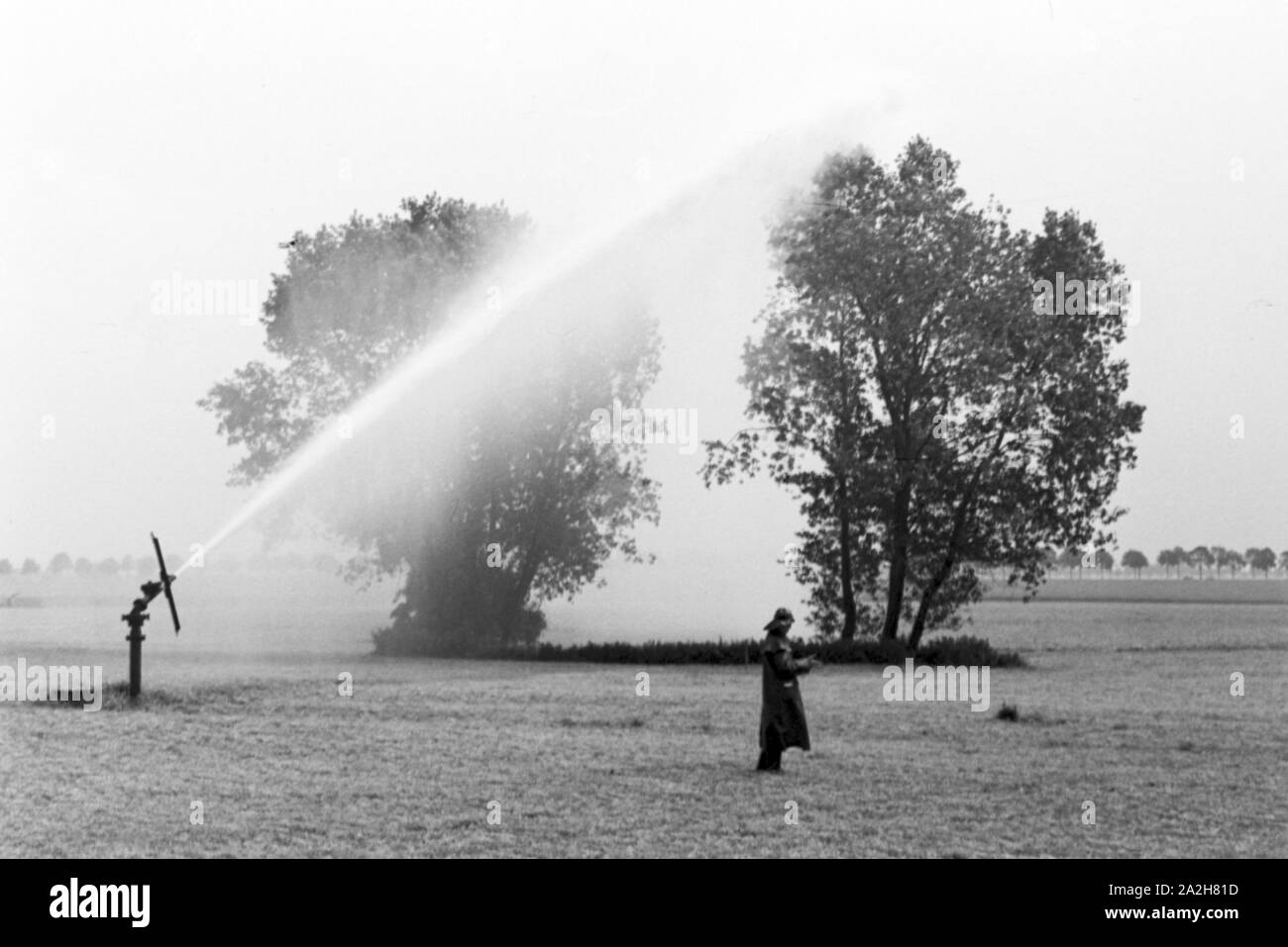 Eine im Regenanlage Kartoffelacker landwirtschaftlichen Einsatz bei einem 1930er Jahre, Deutschland. Un système de gicleurs dans son usage agricole à un champ de pommes de terre, de l'Allemagne des années 1930. Banque D'Images