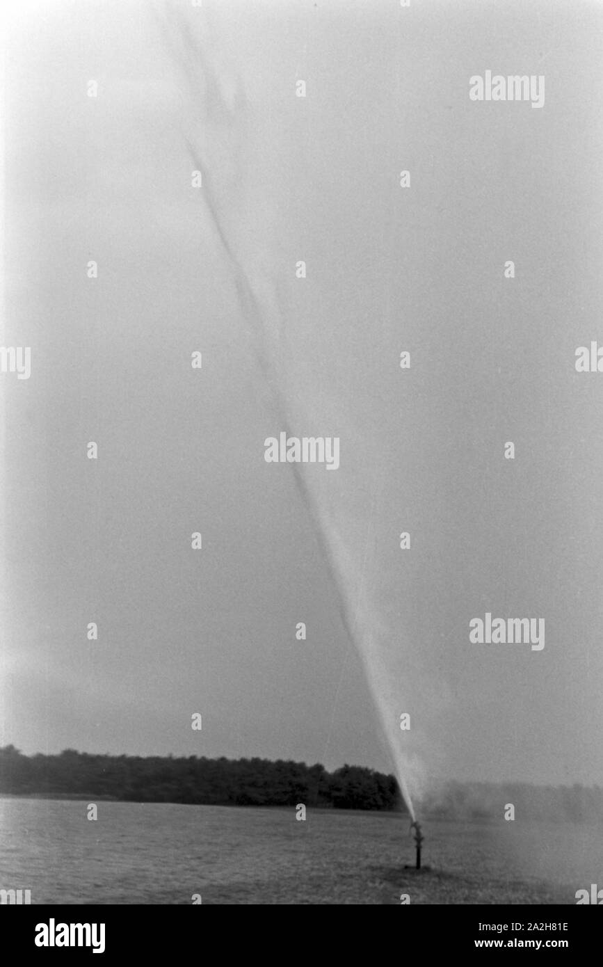 Eine im Regenanlage Kartoffelacker landwirtschaftlichen Einsatz bei einem 1930er Jahre, Deutschland. Un système de gicleurs dans son usage agricole à un champ de pommes de terre, de l'Allemagne des années 1930. Banque D'Images