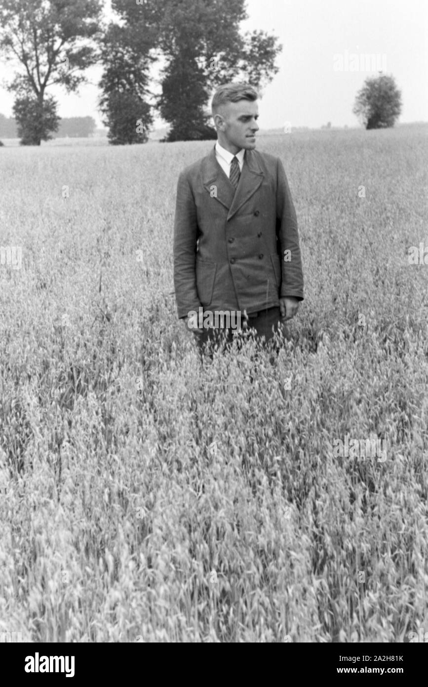 Optimale Ernteergenisse Regenanlage mit einer landwirtschaftlichen im Einsatz bei einem Kartoffelacker, Deutschland 1930 er Jahre. Une bonne récolte grâce à un système de gicleurs dans son usage agricole à un champ de pommes de terre, de l'Allemagne des années 1930. Banque D'Images