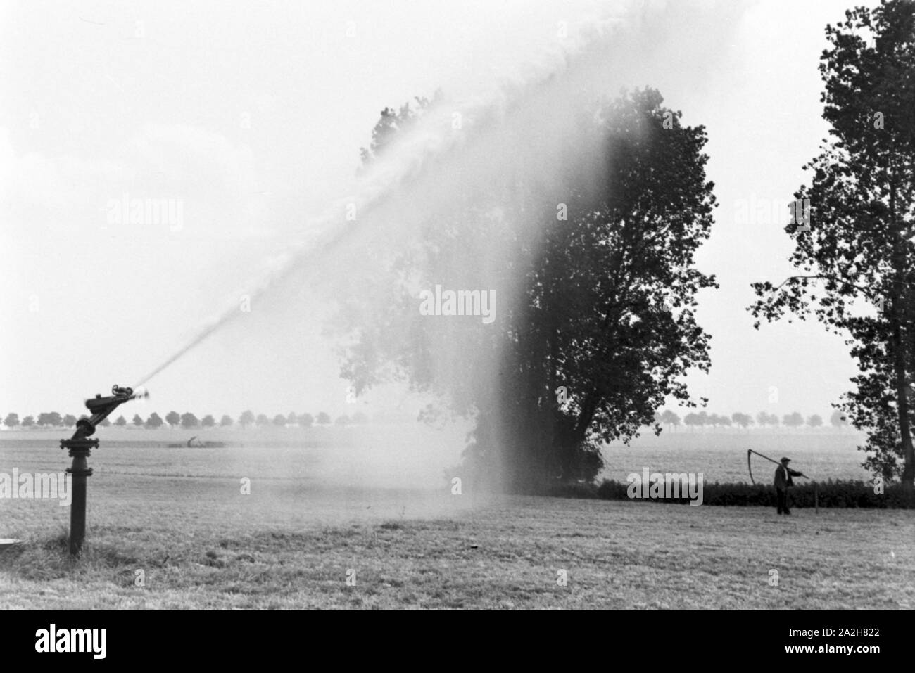 Eine im Regenanlage Kartoffelacker landwirtschaftlichen Einsatz bei einem 1930er Jahre, Deutschland. Un système de gicleurs dans son usage agricole à un champ de pommes de terre, de l'Allemagne des années 1930. Banque D'Images