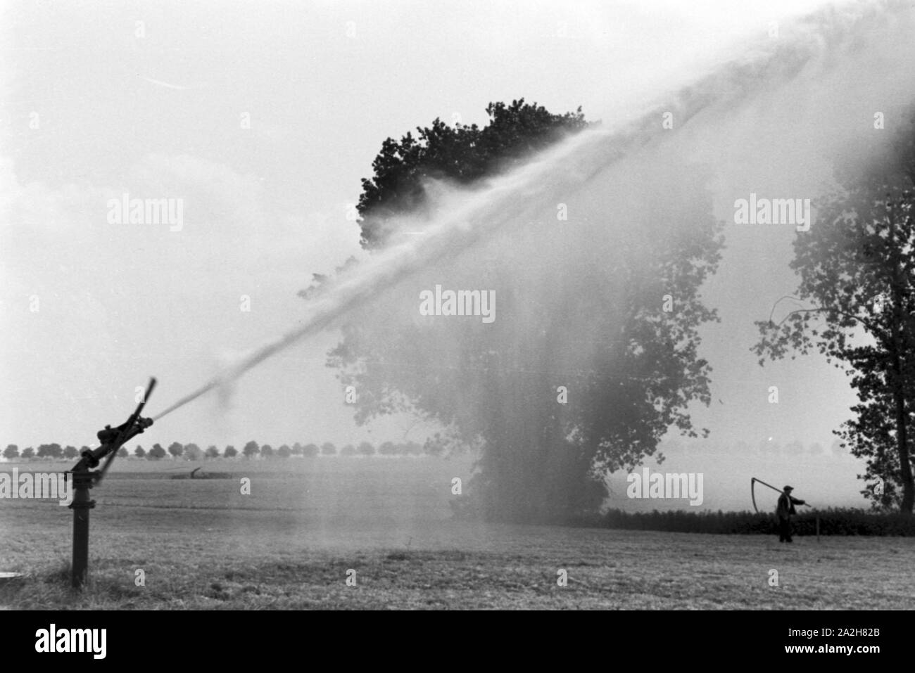 Eine im Regenanlage Kartoffelacker landwirtschaftlichen Einsatz bei einem 1930er Jahre, Deutschland. Un système de gicleurs dans son usage agricole à un champ de pommes de terre, de l'Allemagne des années 1930. Banque D'Images