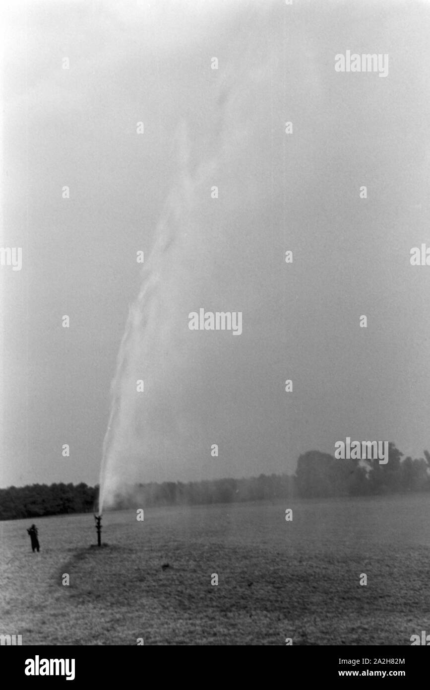 Eine im Regenanlage Kartoffelacker landwirtschaftlichen Einsatz bei einem 1930er Jahre, Deutschland. Un système de gicleurs dans son usage agricole à un champ de pommes de terre, de l'Allemagne des années 1930. Banque D'Images