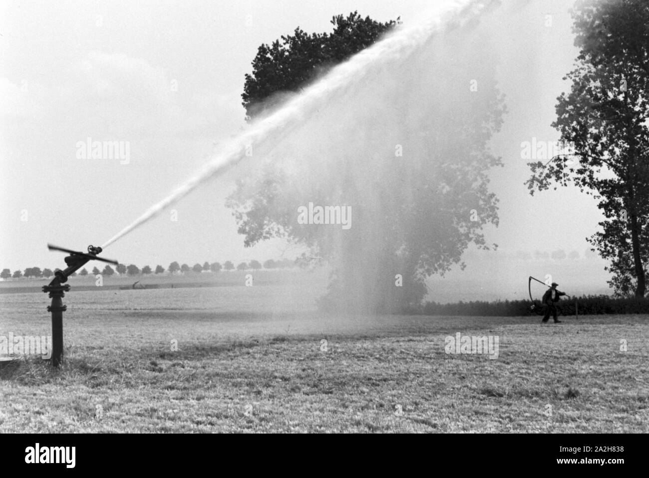 Eine im Regenanlage Kartoffelacker landwirtschaftlichen Einsatz bei einem 1930er Jahre, Deutschland. Un système de gicleurs dans son usage agricole à un champ de pommes de terre, de l'Allemagne des années 1930. Banque D'Images