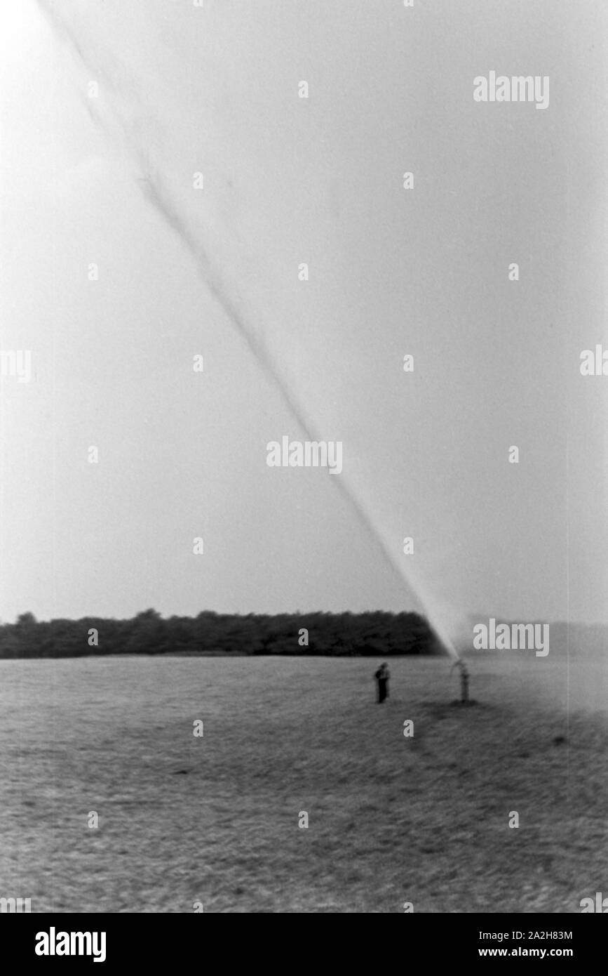 Eine im Regenanlage Kartoffelacker landwirtschaftlichen Einsatz bei einem 1930er Jahre, Deutschland. Un système de gicleurs dans son usage agricole à un champ de pommes de terre, de l'Allemagne des années 1930. Banque D'Images