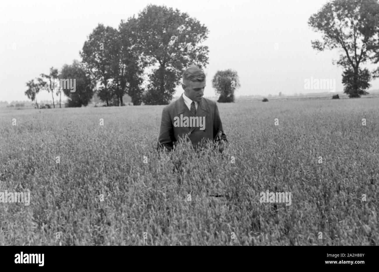 Optimale Ernteergebnisse Regenanlage mit einer landwirtschaftlichen im Einsatz bei einem Kartoffelacker, Deutschland 1930 er Jahre. Une bonne récolte grâce à un système de gicleurs dans son usage agricole à un champ de pommes de terre, de l'Allemagne des années 1930. Banque D'Images