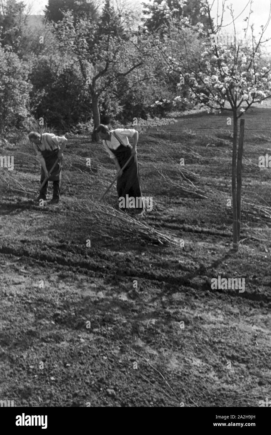 En im bayerischen Gartenarbeiten Amorbach, Odenwald Deutschland 1930 er Jahre. Les travaux de jardinage à Amorbach, Allemagne 1930. Banque D'Images