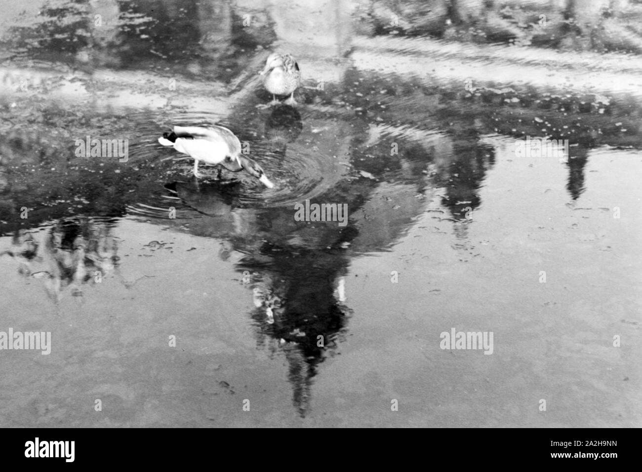 Unterwegs in der Reichshauptstadt Berlin, Deutschland 1930er Jahre. Au capitale de Berlin, Allemagne 1930. Banque D'Images