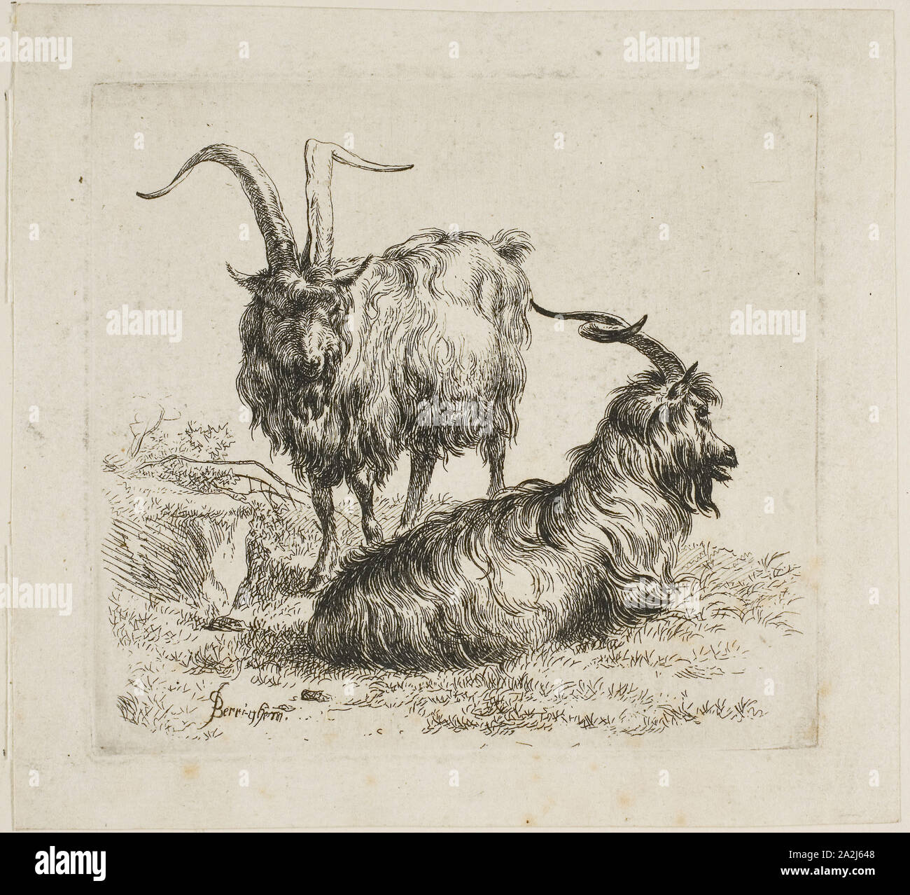 Les chèvres, de divers animaux, 17e siècle, Nicolaes Berchem l'Aîné, Néerlandais, 1621/22-1683, en Hollande, de gravure sur papier, 101 x 113 mm (plaque Banque D'Images