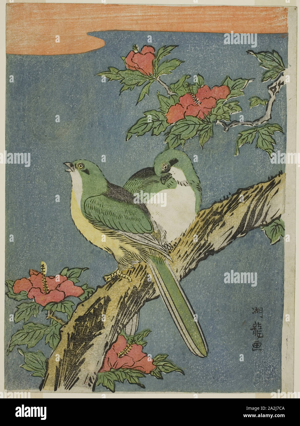 Deux oiseaux sur l'arbre d'Hibiscus, ch. 1770, Isoda Koryusai, Japonais, 1735-1790, le Japon, la couleur, estampe chuban, 9 x 6 3/4 in Banque D'Images