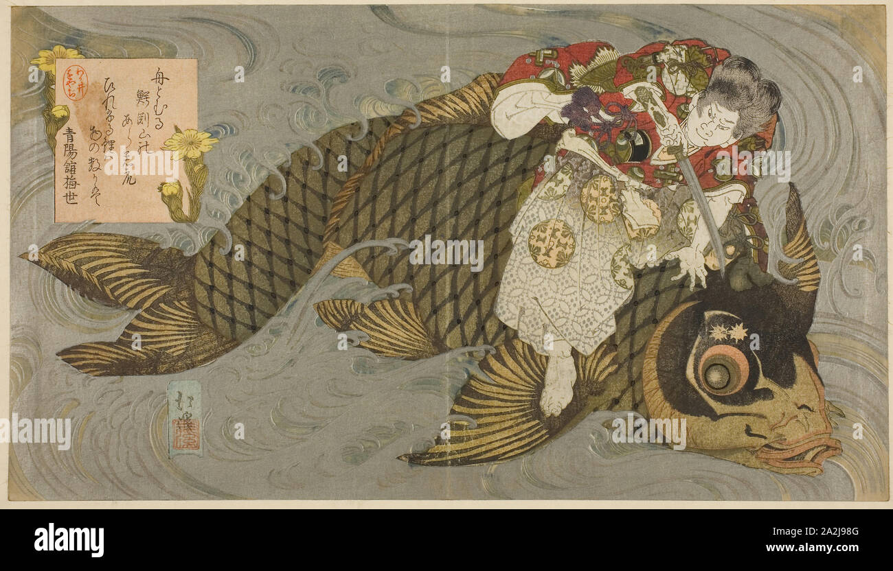 Maîtriser la carpe géante Oniwakamaru, ch. Totoya Hokkei, 1830/35, japonais, 1780-1850, le Japon, l'estampe Couleur, shikishiban surimono, diptyque, 8 1/4 x 14 1/2 po Banque D'Images