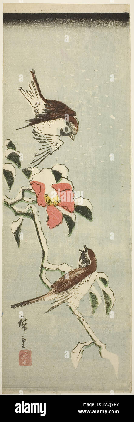 Les moineaux et camélia dans la neige, 1840, Hiroshige Utagawa 広重 歌川, Japonais, 1797-1858, le Japon, la couleur d'impression sur bois, aitanzaku, 34,1 x 11,2 cm Banque D'Images
