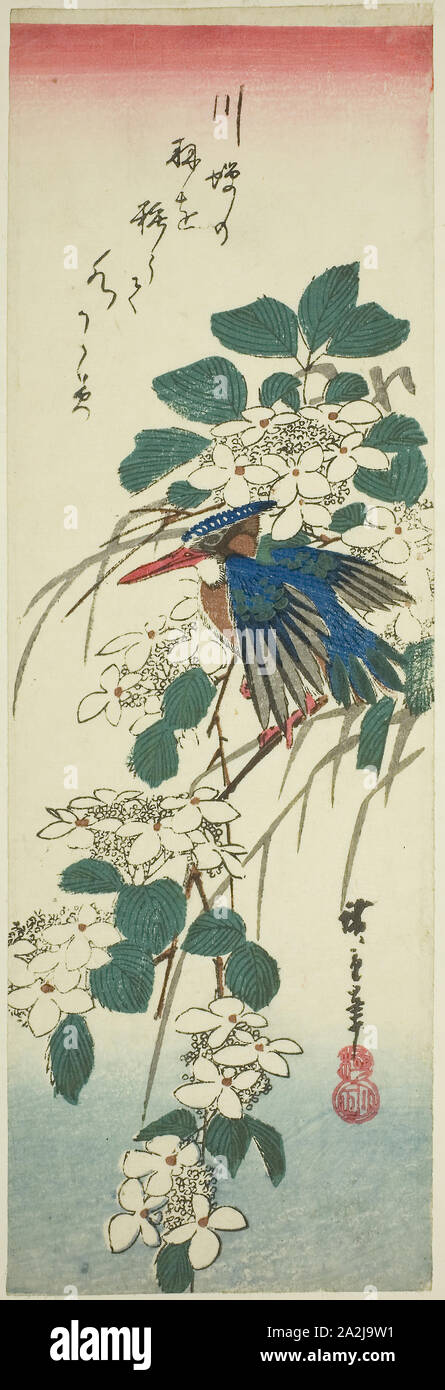 Kingfisher et viburnum, 1840, Hiroshige Utagawa 広重 歌川, Japonais, 1797-1858, le Japon, la couleur d'impression sur bois, chutanzaku, 13 5/8 x 4 1/2 in Banque D'Images