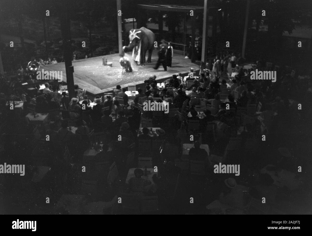 Un Zirkusbesuch bei Marbach, Deutsches Reich 1930er Jahre. Une visite au cirque près de Marbach, Allemagne 1930. Banque D'Images