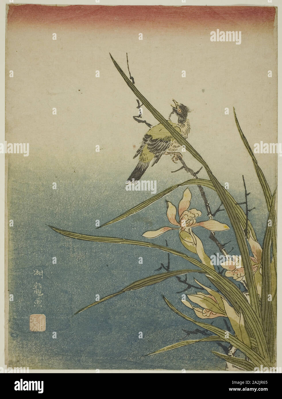 Des oiseaux et des orchidées, ch. 1770, Isoda Koryusai, Japonais, 1735-1790, le Japon, la couleur, estampe chuban, 10 x 7 1/2 po Banque D'Images
