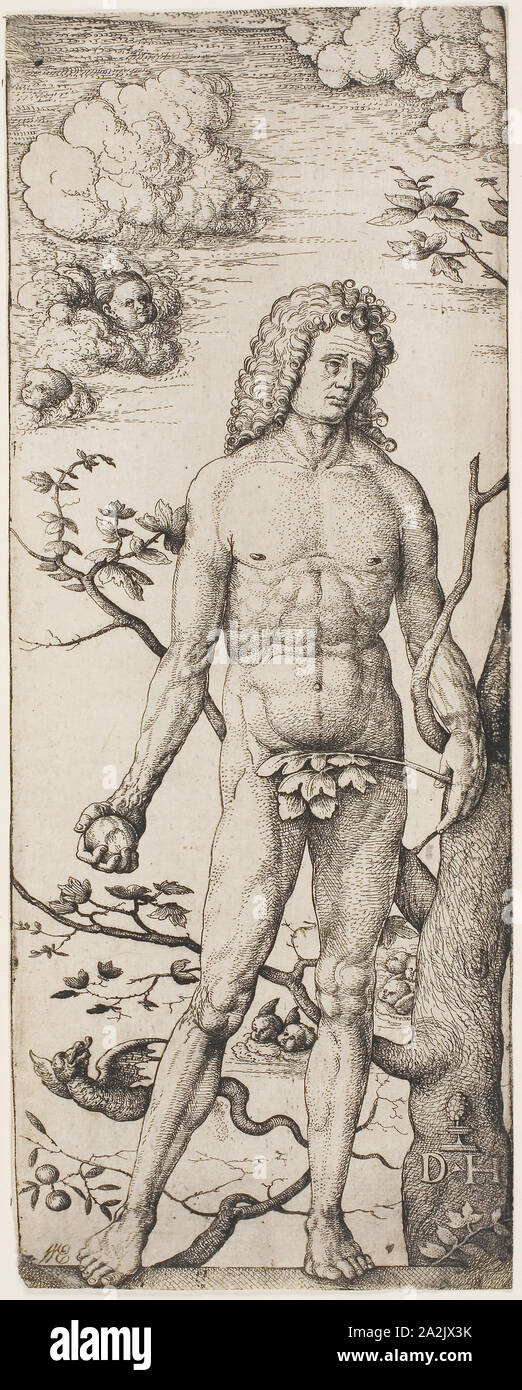 Adam, en 1522, Daniel Hopfer, I, allemand, 1470-1536, l'Allemagne, l'eau-forte en noir sur papier vergé crème, 283 x 110 mm (image/plaque/feuille Banque D'Images